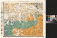 Geognostische Karte von Oberschlesien : und den angrenzenden Gebieten. Section 12: Pless - Roemer, Ferdinand (1818-1896)