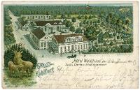 1900 rok. Kohlfurt - Hotel Waldhaus. Pocztówka - Knebel, Hermann