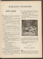 Wieczory Rodzinne : tygodnik illustrowany dla dzieci i młodzieży. R. 20, 1899. Dodatek do n-ru 24