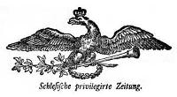 Schlesische privilegirte Zeitung. 1790-05-22 [Jg. 49] Nr 60