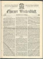 Thorner Wochenblatt 1867, No. 19