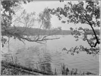 Kanał Augustowski [Jezioro Mikaszewo] - Górski, Wacław (1935- )