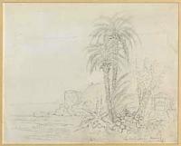 Pejzaż z palmami, ruinami i studnią w Bordigherze na Riwierze Włoskiej [dokument ikonograficzny] - Kraszewski, Józef Ignacy (1812-1887)
