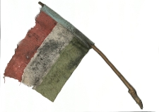 Nemzeti színű zászló