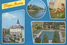 Vederi de la prieteni