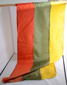 Baltijos kelio vėliava
