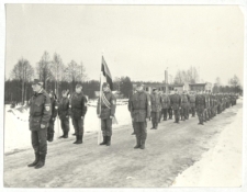 Eesti Vabariigi aastapäeva tähistamine Remnikul