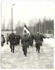 Vabariigi aastapäeva tähistamine Remnikul